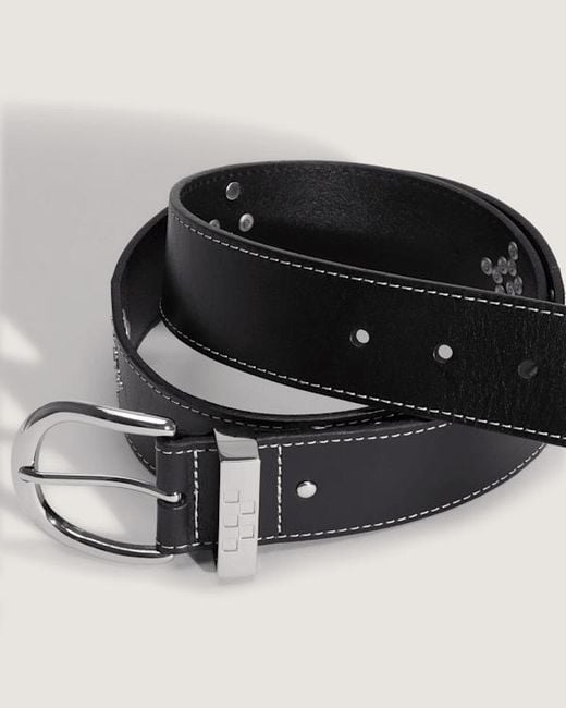 Vans Black Premium Studded Belt for men