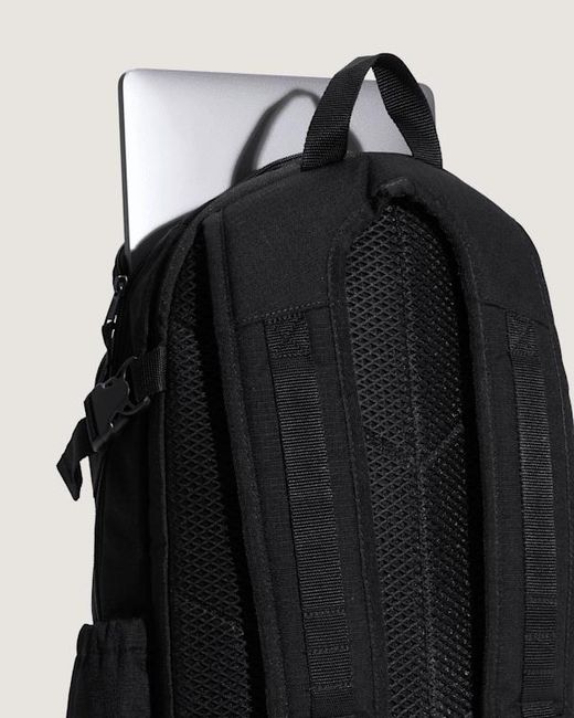 Vans Black Van Doren Backpack for men