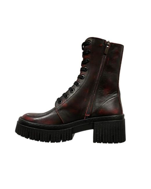 Art 1375 in het Black