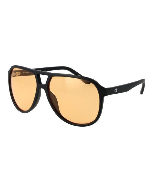 Champion Blue Brown Stainless Steel Sunglasses for men