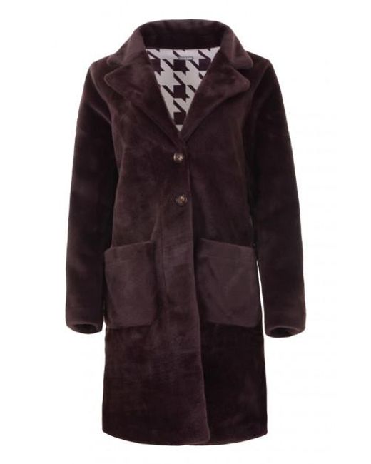 Maicazz Varzo Fa22.10.202 Chestnut in het Purple