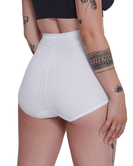 Sloggi Basic+ Maxi 4-Pack Multi-Colour V016 in het Gray