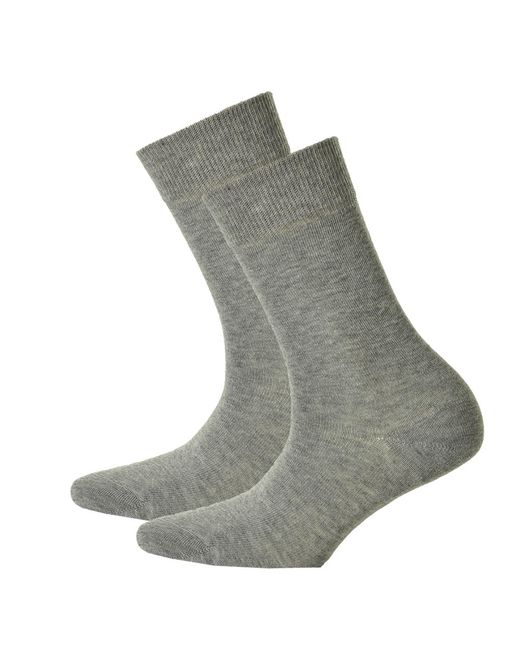 Hudson Sokken in het Gray