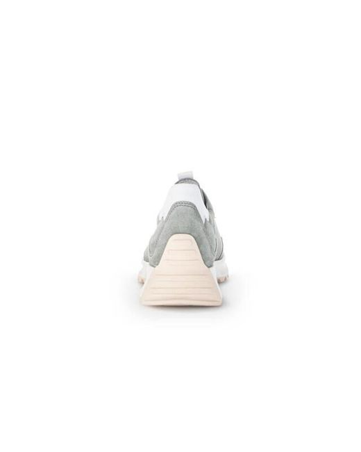 Gabor 23.220 in het Gray