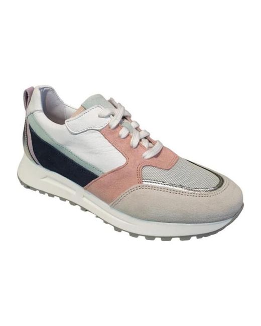 AQA A85 in het Gray