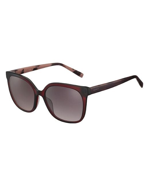 Esprit Black Sunglasses Et40090 531 55