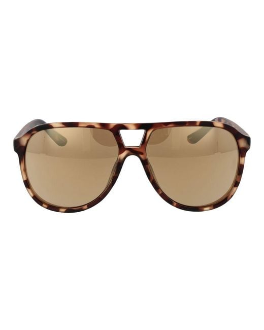 Champion Brown Gray Resin Sunglasses for men