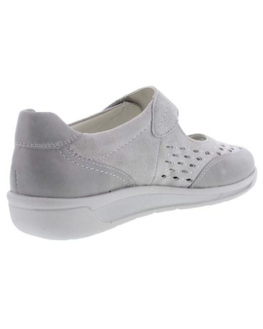 Ara 12-31019 in het Gray