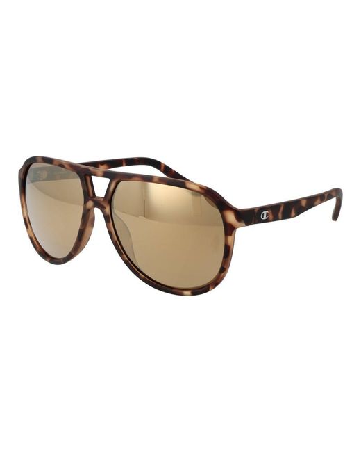 Champion Brown Gray Resin Sunglasses for men