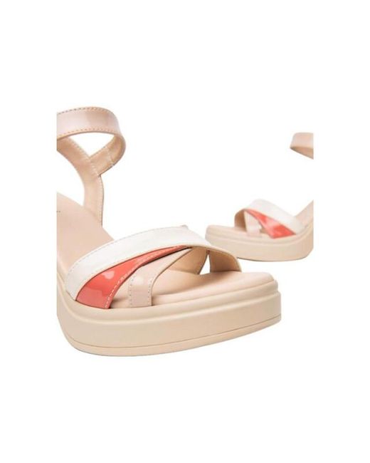 Nero Giardini E513662D in het Pink