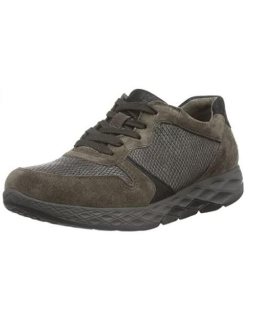 Gabor 56.998 in het Gray