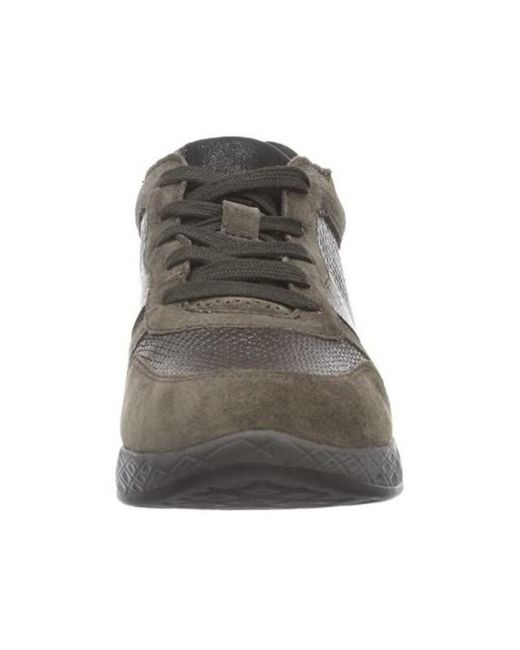 Gabor 56.998 in het Gray