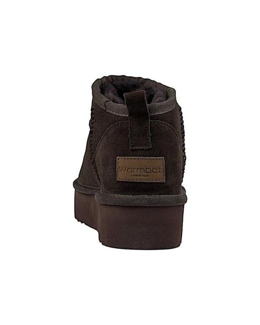 Warmbat Drc371065 in het Brown