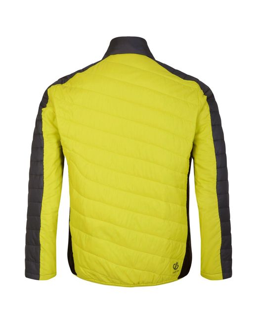 Dare 2b Yellow Descending Padded Jacket (Neon Spring/ for men