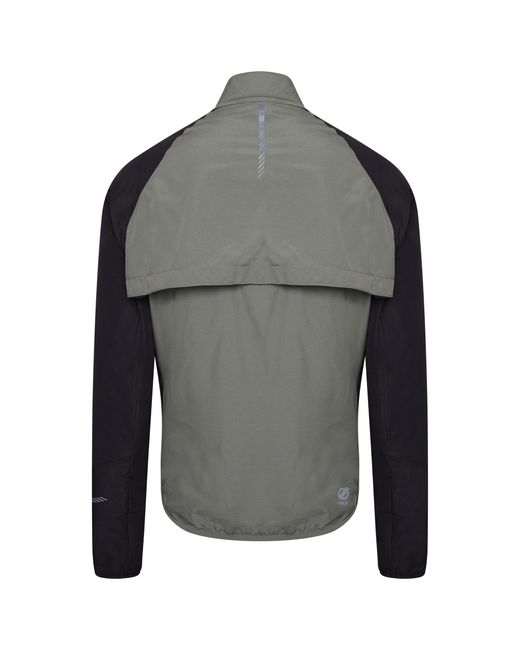Dare 2b Oxidaat Windshell Jacket (Agave/Zwart) in het Gray voor heren