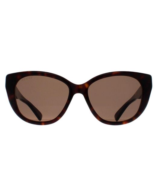 Gucci Brown Sunglasses