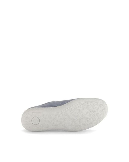 Gabor 66.458 in het Gray