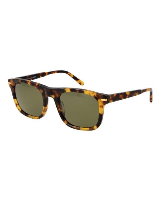 Serengeti Green Acetate Sunglasses for men