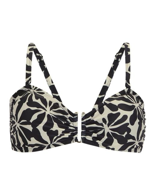 Regatta Black Ladies Aceana Iii Polka Dot Bikini Top (Multicoloured)