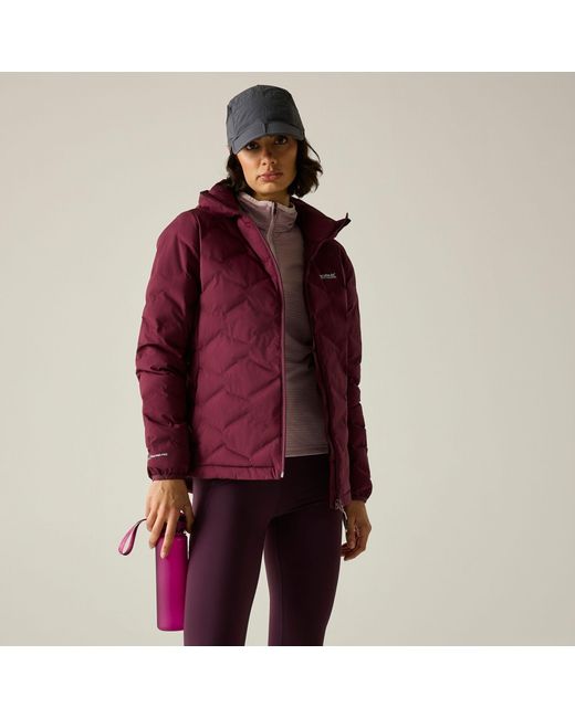Regatta Red Ladies Deyla Quilted Padded Jacket (Fig)
