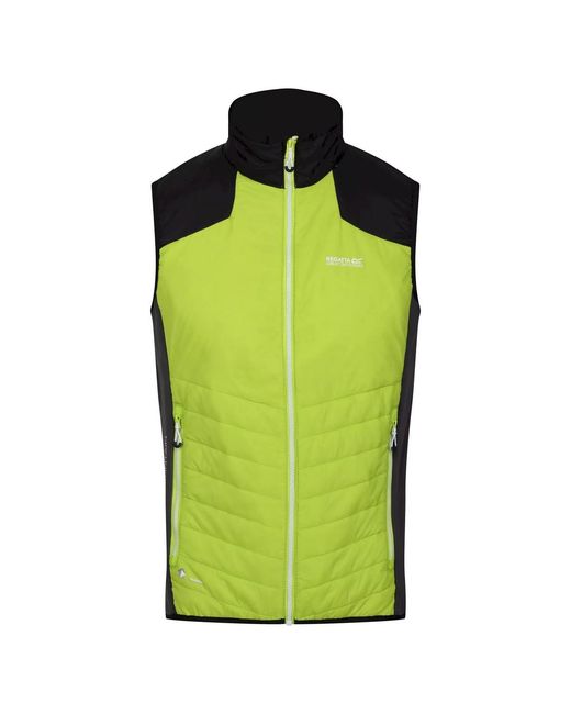 Regatta Green Halton Vi Lightweight Body Warmer (Bright Kiwi/ for men