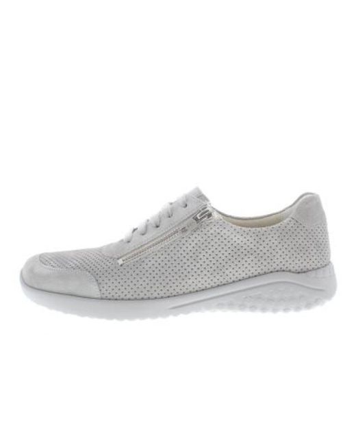 SOLIDUS Hyle F in het Gray