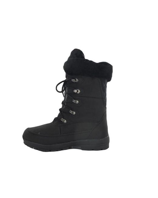 Warmbat Hotham in het Black
