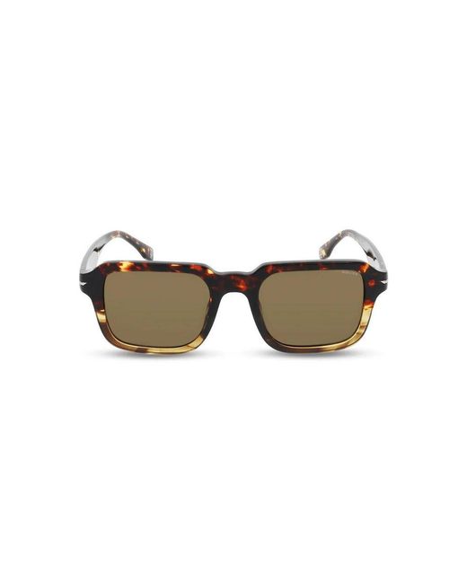 Police Brown Acetate Sunglasses for men