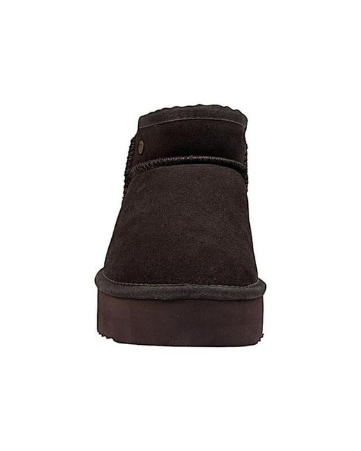 Warmbat Drc371065 in het Brown