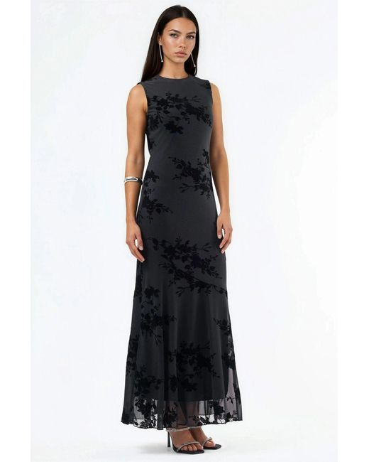 Hiccup Black Floral Flocked Print Tulle Maxi Dress