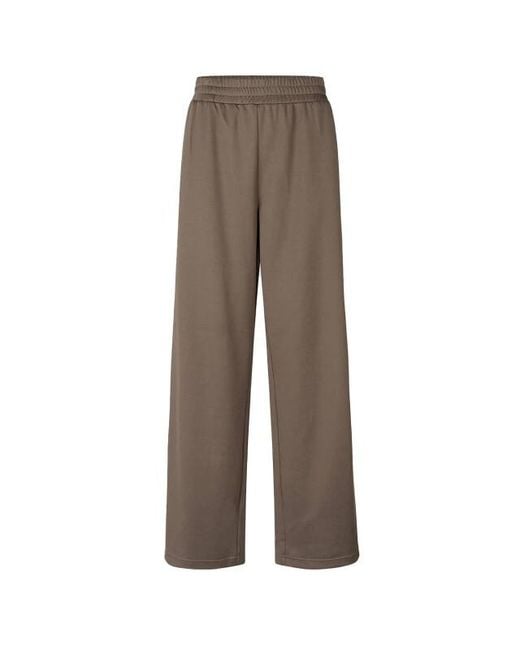 Modström Broek 59308 in het Brown