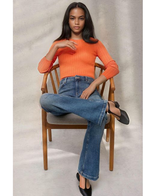 Hiccup Orange Basic Sweatshirt