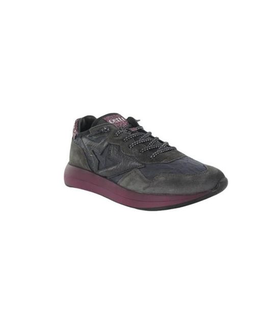 Cetti C1311 in het Gray