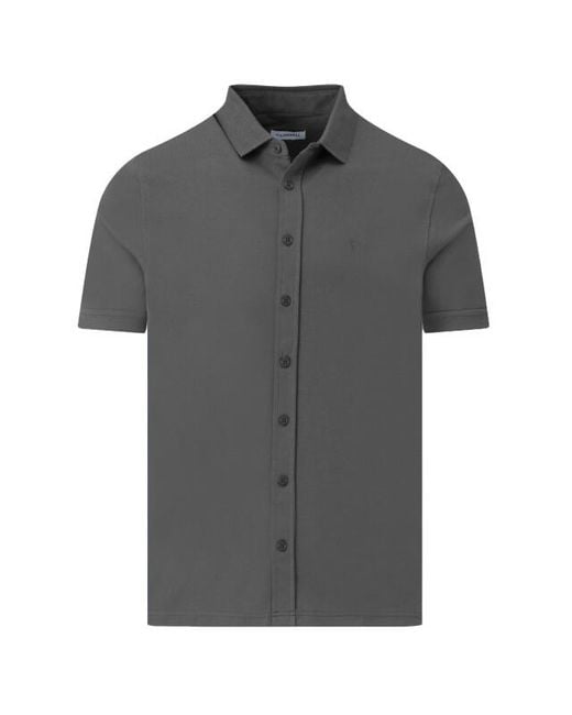 Campbell Polo in het Purple voor heren