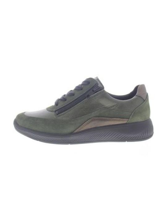 SOLIDUS Kalea in het Gray