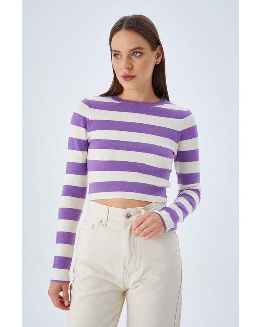 MixRay Purple Gestreifter Strickpullover