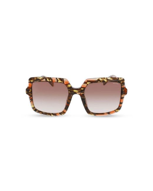 Police Brown Multicolor Resin Sunglasses