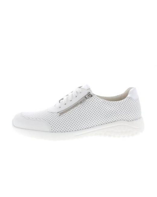 SOLIDUS Hyle F in het White
