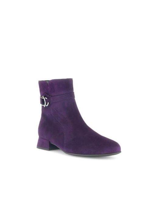 Gabor 55.671 in het Purple