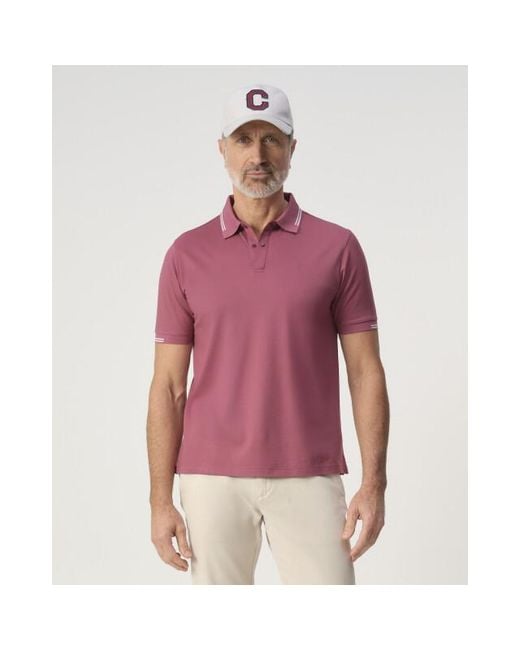 Campbell Polo in het Purple voor heren