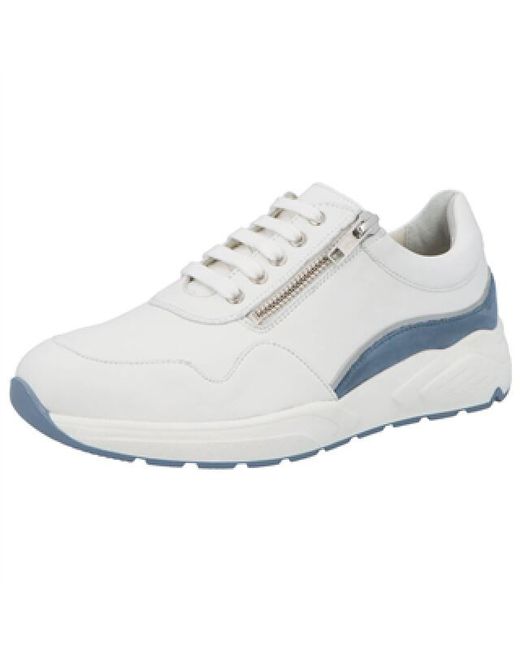 SOLIDUS Kea K in het White