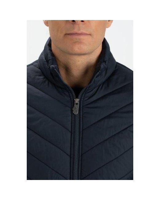 Falcon Hardy Hardy-N024 in het Blue voor heren