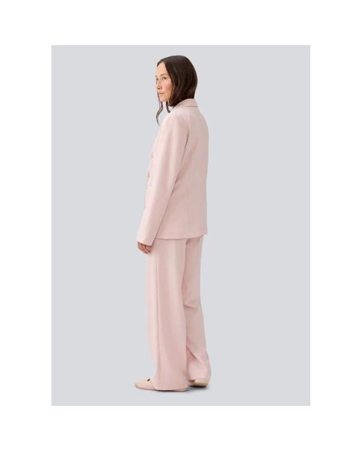 Modström Maxwellmd Broek in het Pink