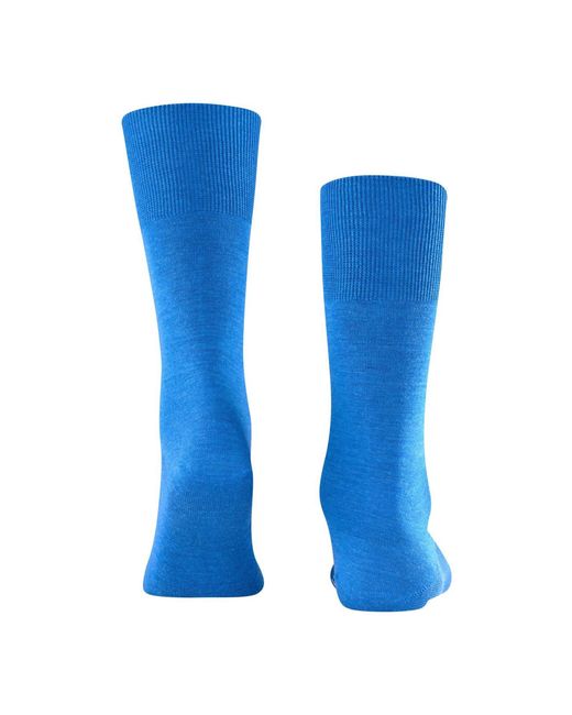 Falke Sokken in het Blue voor heren