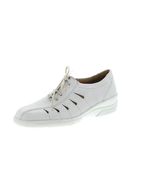 SOLIDUS Hedda F in het Gray