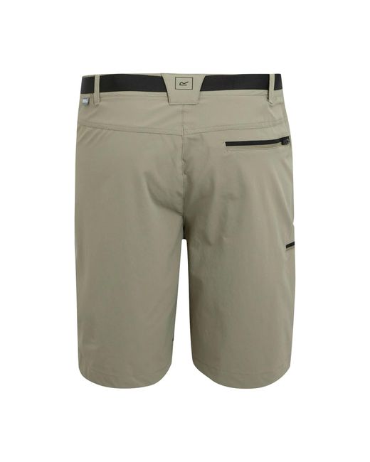 Regatta Green Xert Iii Stretch Shorts (Golden) for men