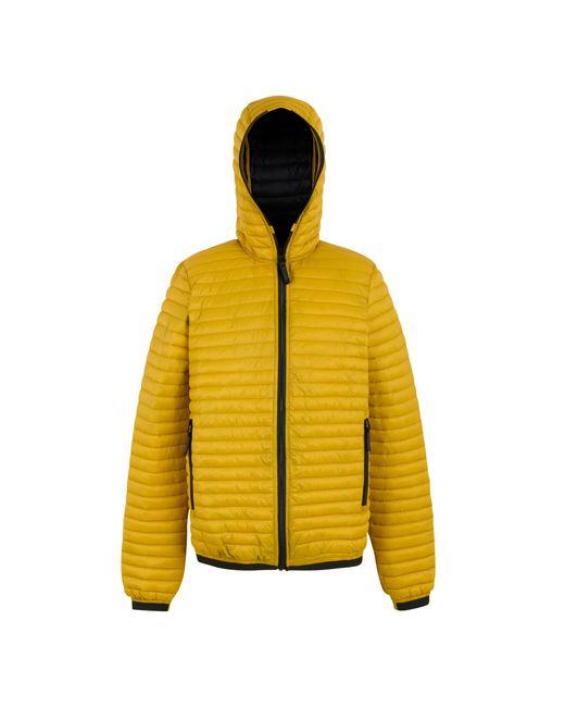 Regatta Yellow Rigain Padded Jacket for men