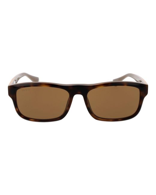 Web Brown Acetate Sunglasses for men