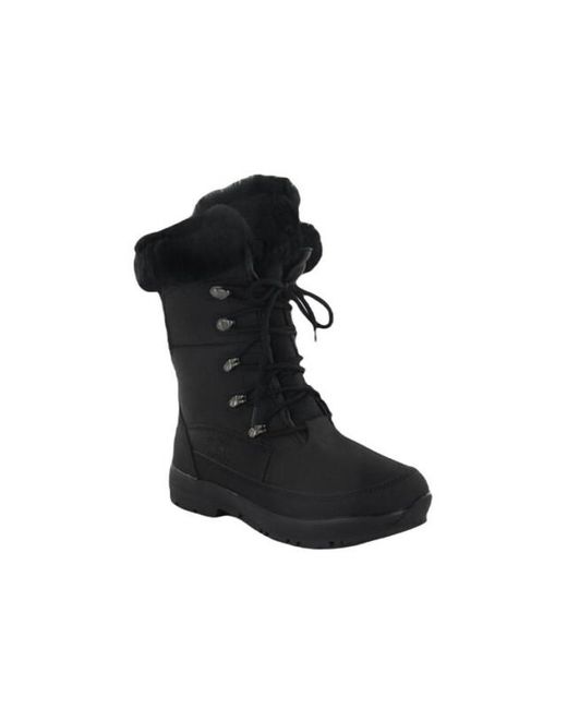 Warmbat Hotham in het Black