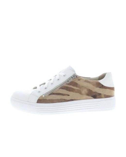 SOLIDUS Hazel H in het White